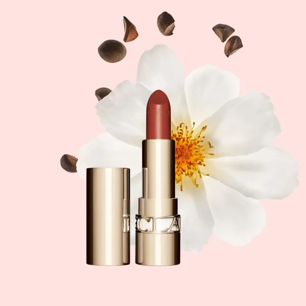Clarins Joli Rouge 737 Spicy Cinnamon