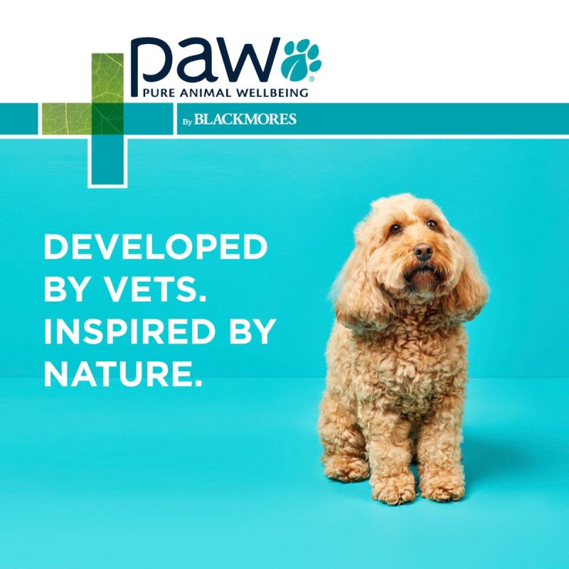 PAW By Blackmores Osteocare Joint Protect Chews For Medium And Large Dogs 500g