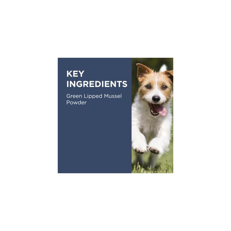 PAW by Blackmores Osteosupport Joint Care 150s – Clinical Joint Support