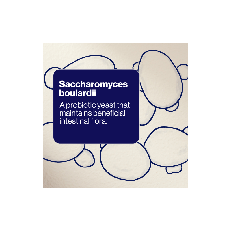  BioCeuticals SB Floractiv 120 Capsules