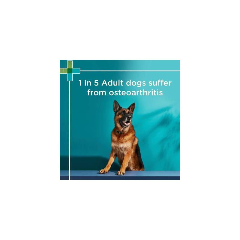PAW By Blackmores Osteocare Joint Protect Chews For Medium And Large Dogs 500g