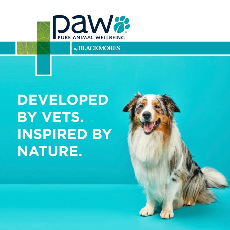 PAW by Blackmores Osteosupport Joint Care 150s – Clinical Joint Support
