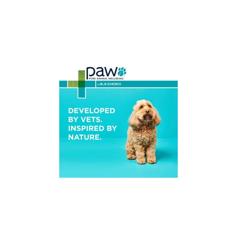 PAW By Blackmores Osteocare Joint Protect Chews For Medium And Large Dogs 500g