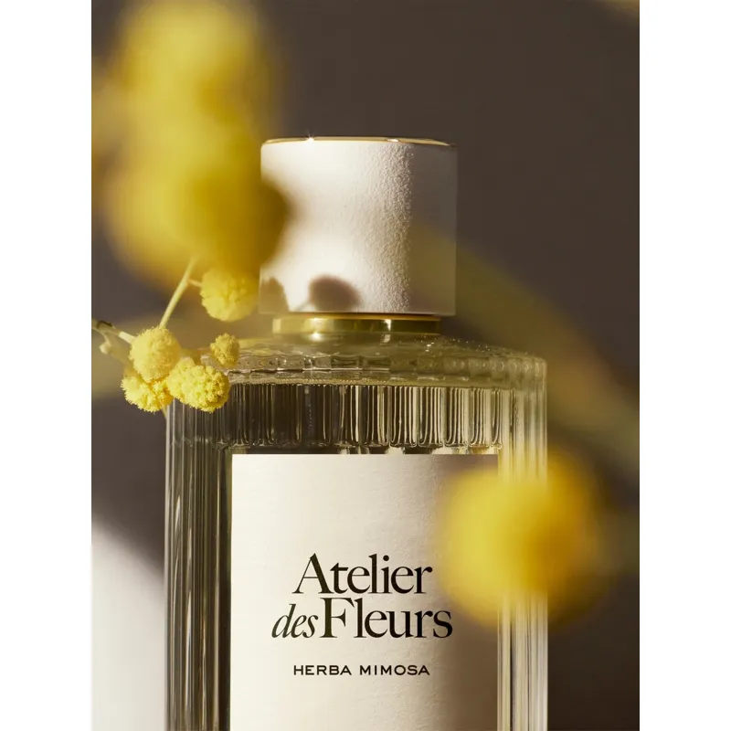 Chloé Atelier des Fleurs EDP Spray HERBA MIMOSA 50ml