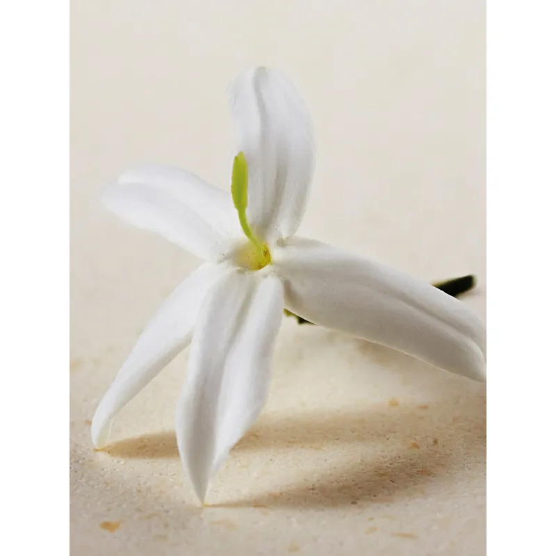 Chloé Atelier Des Fleurs EDP Spray Jasmin Sambac 150ml
