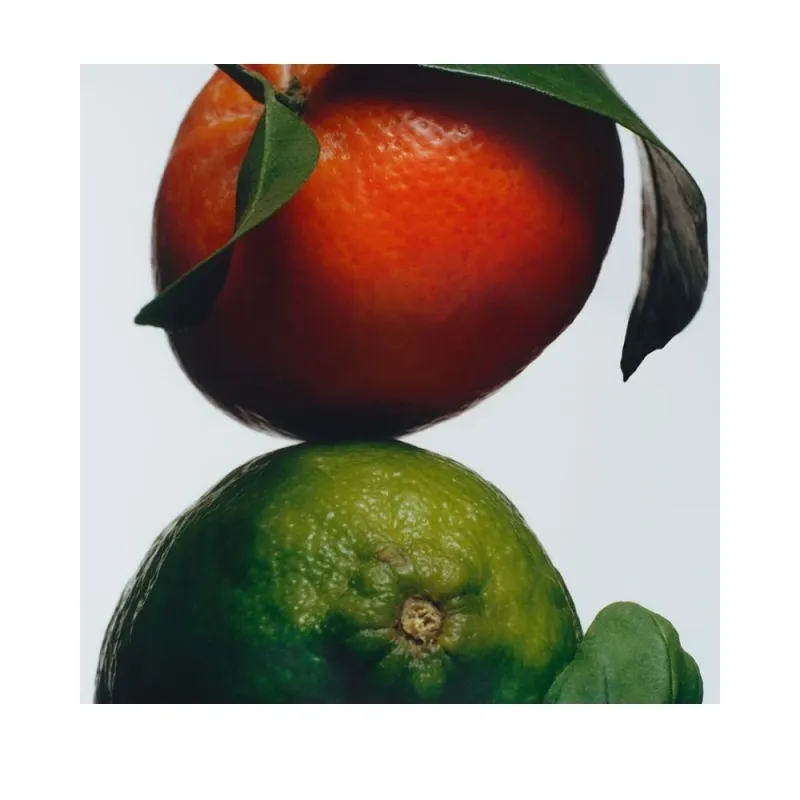 Jo Malone London Lime + Basil+ Mandarin Diffuser