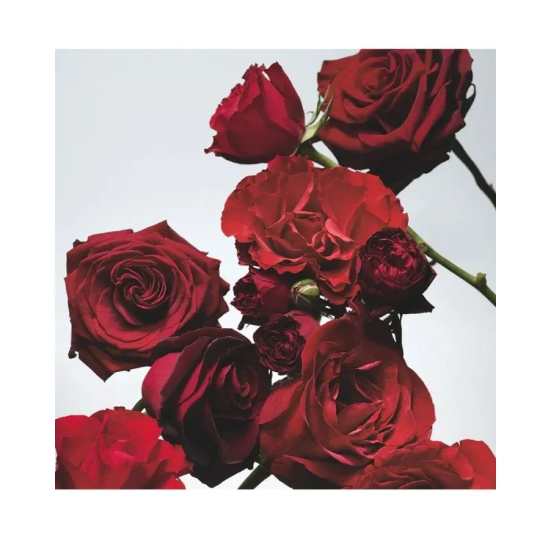 Jo Malone London Red Roses Cologne 30ml