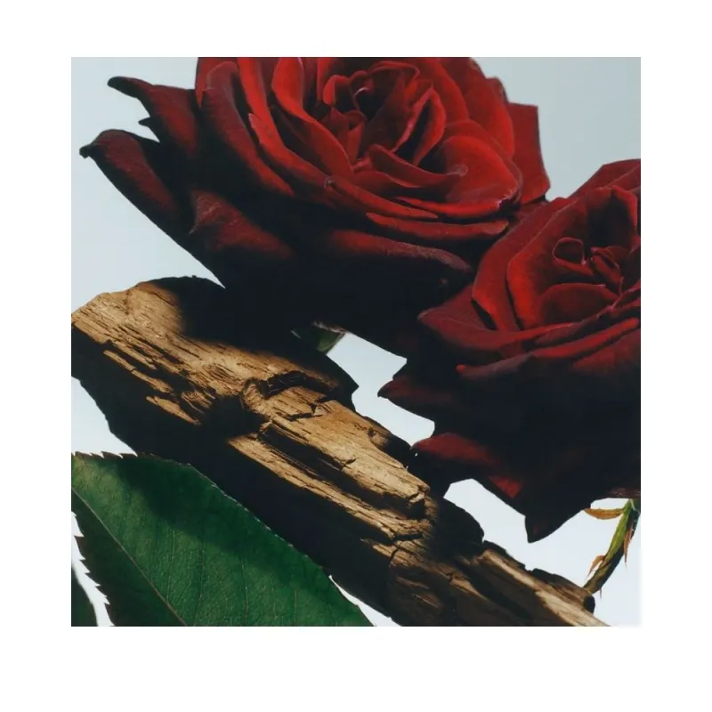 Jo Malone London Velvet Rose & Oud Body & Hand Wash
