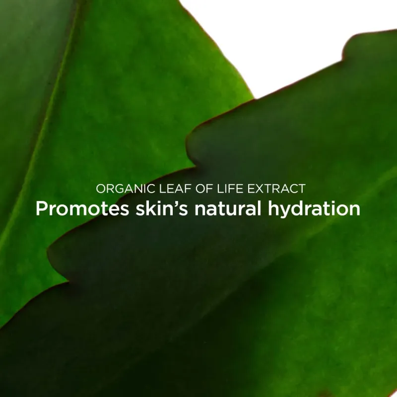 Clarins Fresh Scrub 50ml