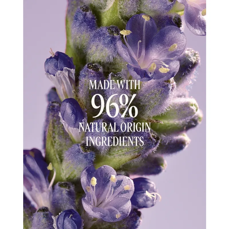 L'Occitane Night Soothing Defense Scalp Serum 50ml