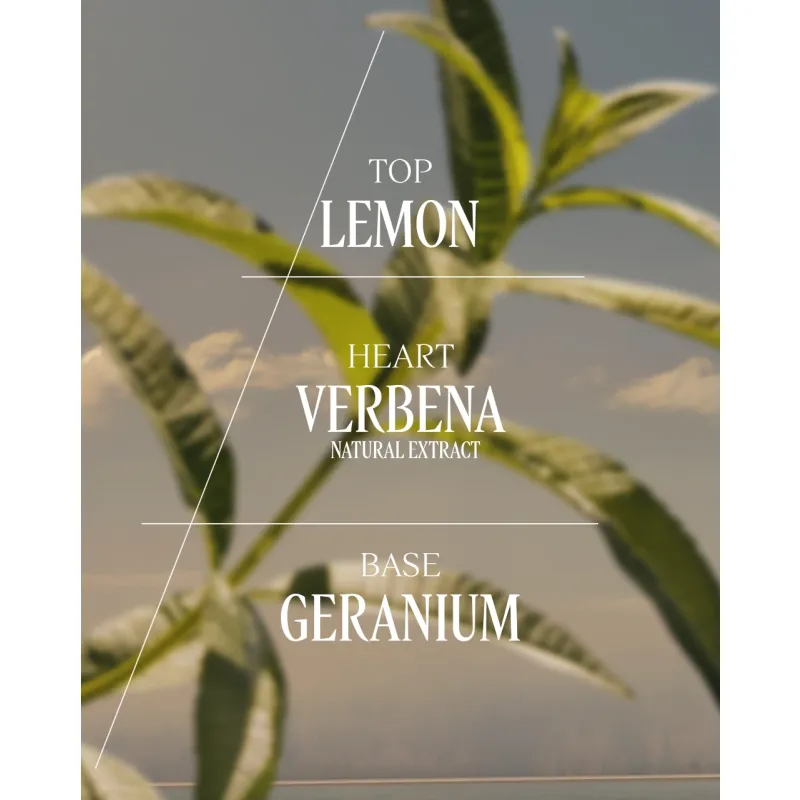 L'Occitane Verveine Verbena Eau de Toilette 75ml