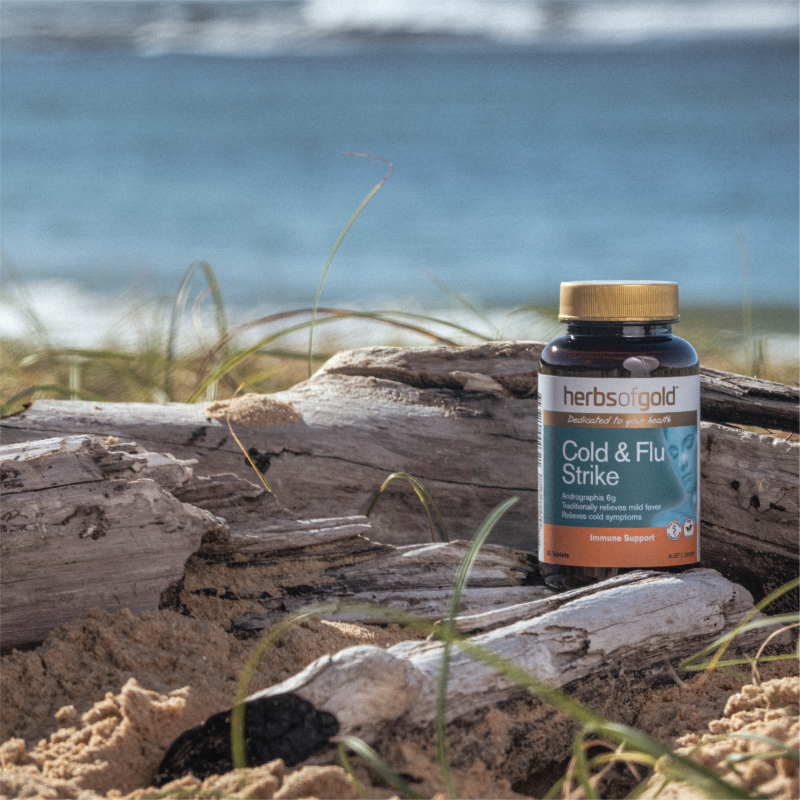 Herbs of Gold Cold and Flu Strike 30 Tablets