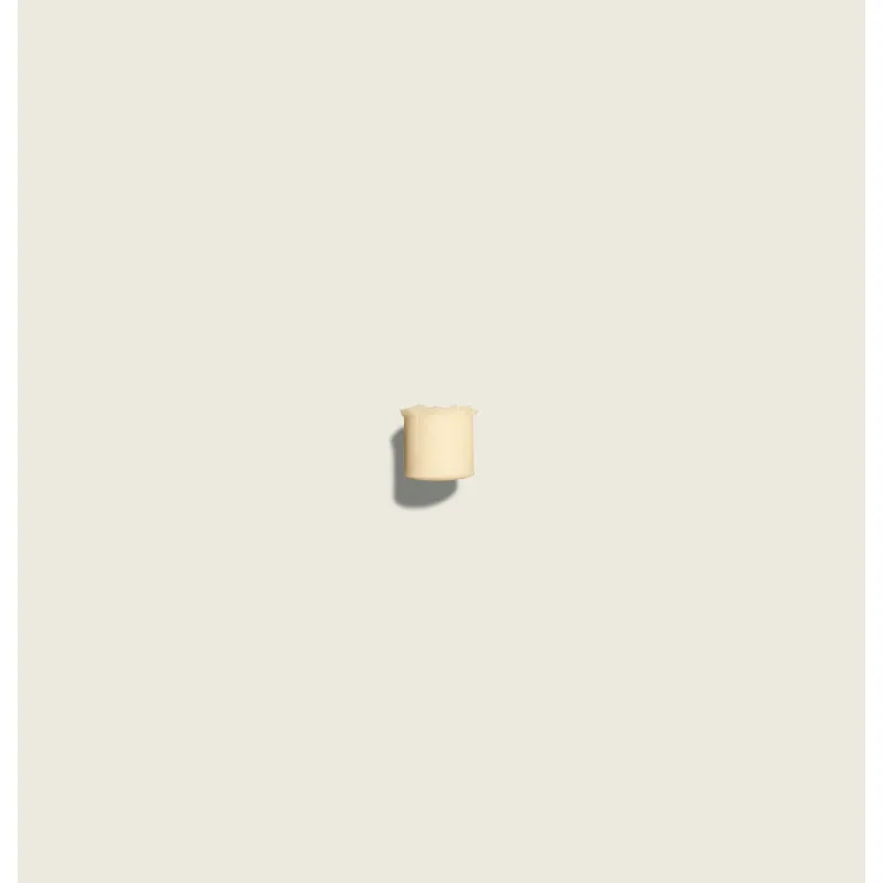 Aesop Protective Lip Balm SPF30 5.5g