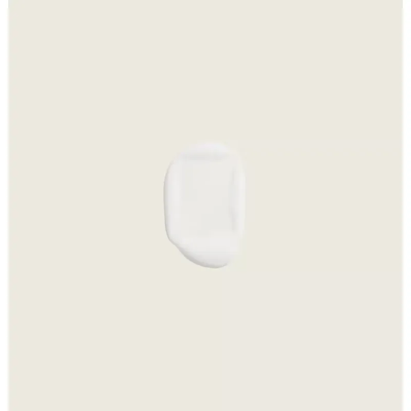 Aesop Gentle Facial Cleansing Milk 100mL