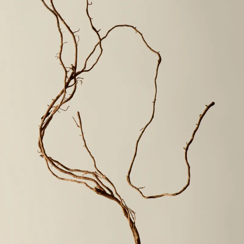 Aesop Kagerou Aromatique Incense 33 sticks