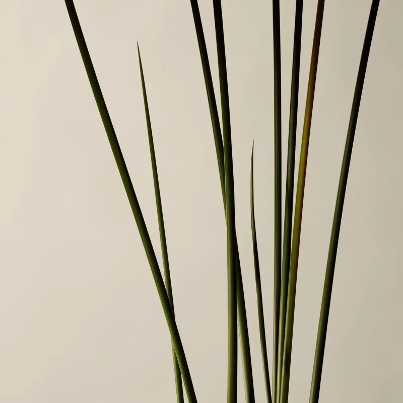 Aesop Kagerou Aromatique Incense 33 sticks