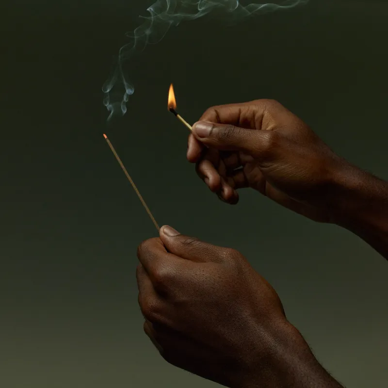 Aesop Sarashina Aromatique Incense 33 sticks