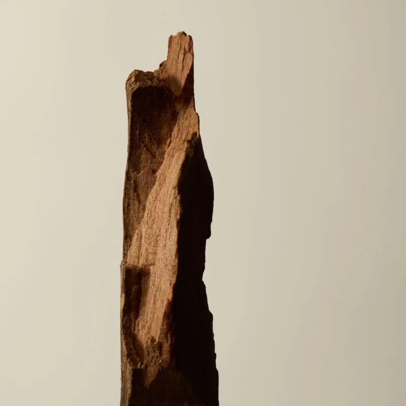 Aesop Sarashina Aromatique Incense 33 sticks