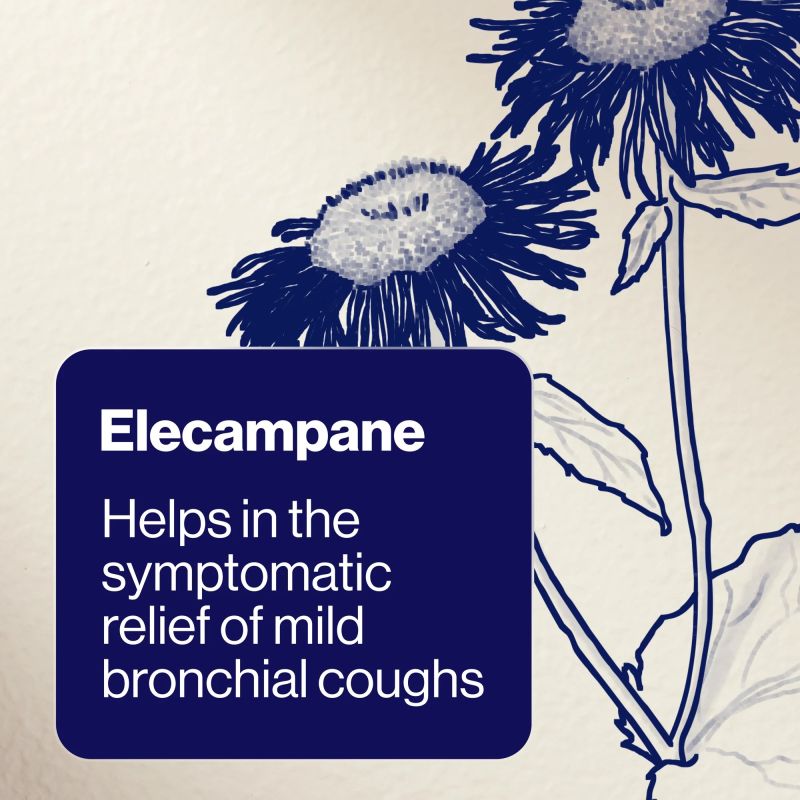 BioCeuticals ArmaForce Cough Relief 100mL