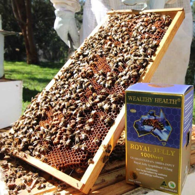 Wealthy Health-Royal Jelly 1000mg 6% 365 Capsules