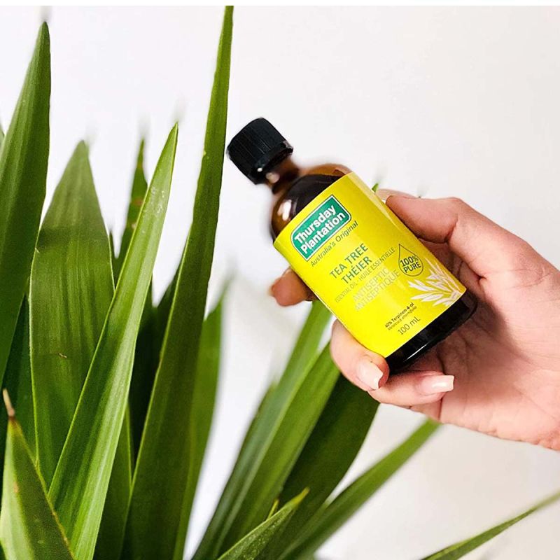 Thursday Plantation-100% Tea Tree Oil 100ml