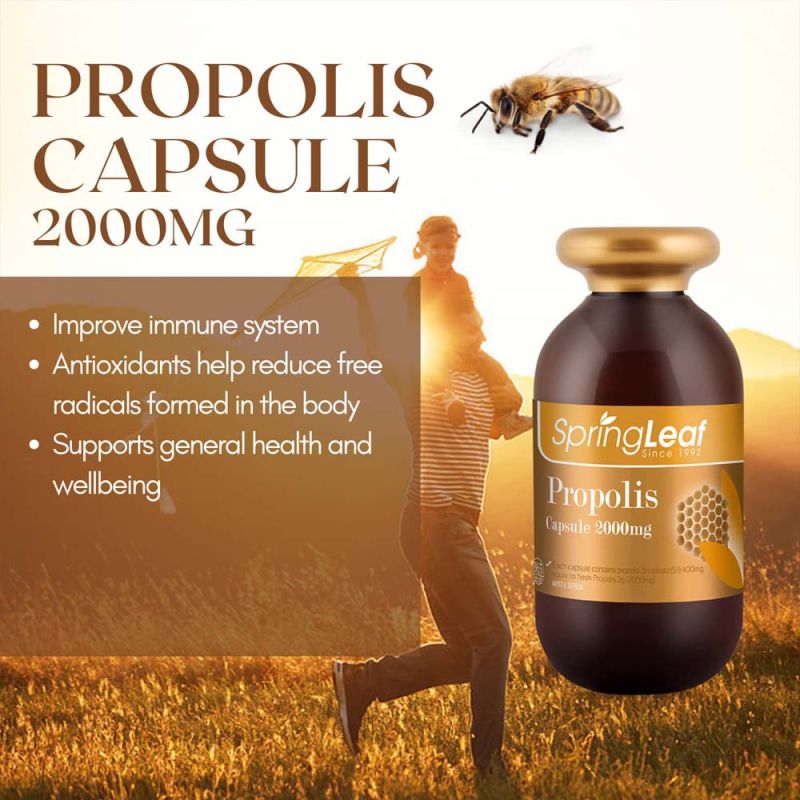 Springleaf Propolis Capsule 2000mg 365 Capsules