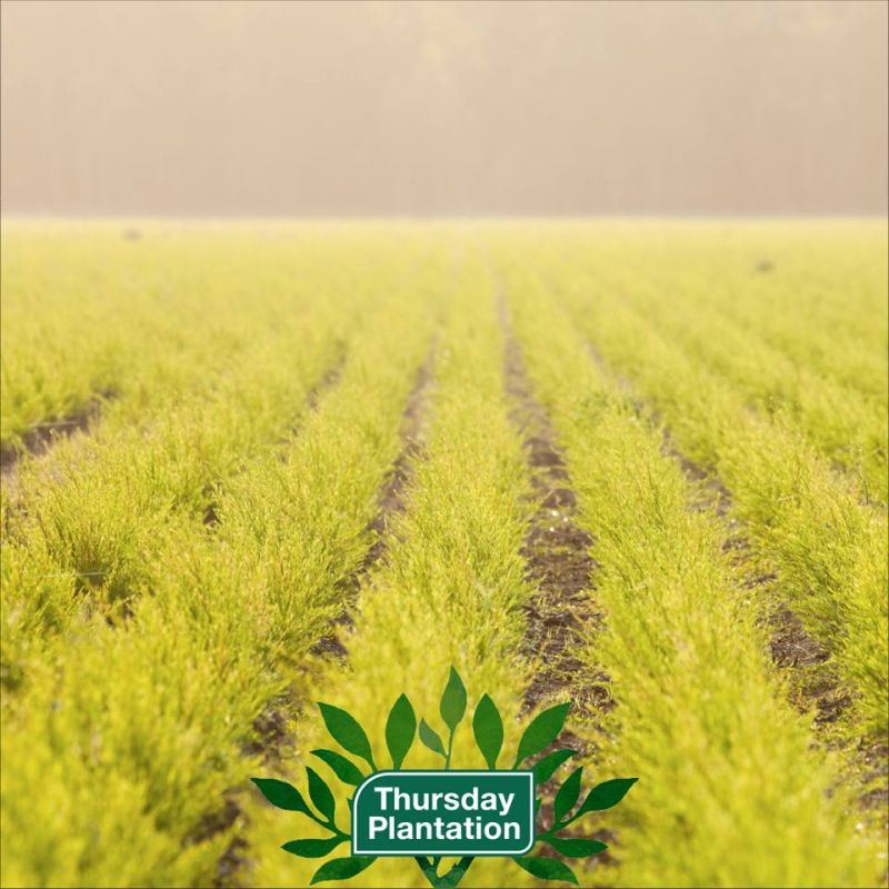 Thursday Plantation-Walkabout Insect Repellent 50ml