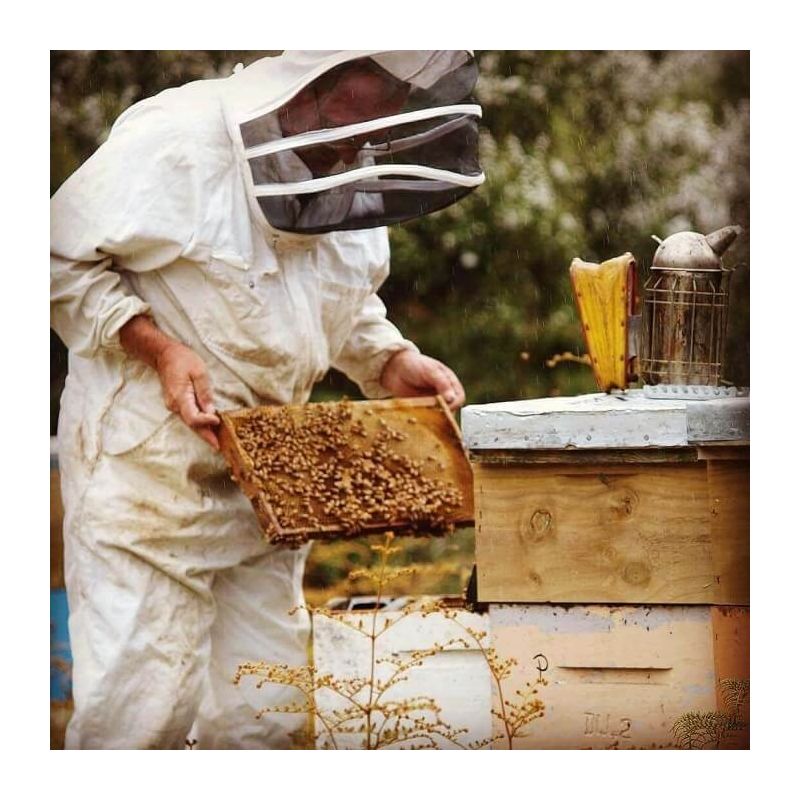 Manuka Health-Manuka Honey MGO 850+ 250g