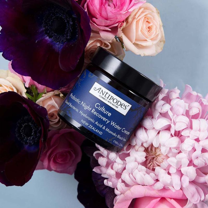 Antipodes-Culture Probiotic Night Recovery Water Cream 60ml