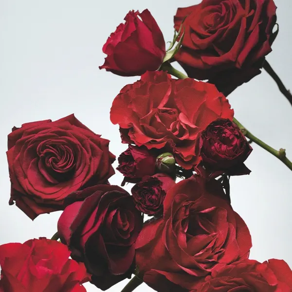 Jo Malone London Red Roses Classic Candle 200g