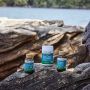 Herbs of Gold Probiotic + SB 60 Capsules