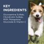 PAW By Blackmores Osteocare Joint Protect Chews For Medium And Large Dogs 500g