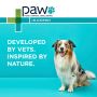 PAW by Blackmores Osteosupport Joint Care 150s – Clinical Joint Support