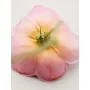 Chloé Atelier des Fleurs EDP 50ml Rosa Damascena