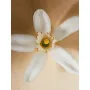 Chloé Atelier des Fleurs EDP NEROLI 150ml