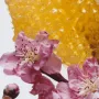 Jo Malone London Nectarine Blossom + Honey Cologne 30ml