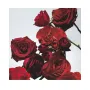 Jo Malone London Red Roses Diffuser 165ml