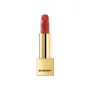 Burberry Kisses Lipstick - Burnished Red 117