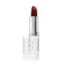 Elizabeth Arden Eight Hour Lip Protectant Stick Sheer Tint SPF15 – Plum