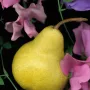 Jo Malone London English Pear & Sweet Pea Cologne 100ml