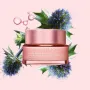 Clarins Multi-Active Day Cream (All Skin Types) 50ml