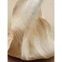 Chloé Atelier des Fleurs Santalum Shower Gel 300ml