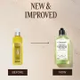 L'Occitane Verbena Shower Gel 250mL
