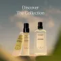 L'Occitane Verbena Hand Cream 30mL