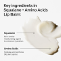 The Ordinary Squalane + Amino Acids Lip Balm 15mL