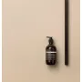 Aesop Equalising Shampoo 500mL