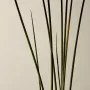 Aesop Kagerou Aromatique Incense 33 sticks