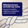 BioCeuticals UltraBiotic 500 14 Sachets