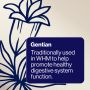 BioCeuticals MultiGest Enzymes 90 Capsules
