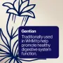 BioCeuticals MultiGest® Enzymes 180 Capsules